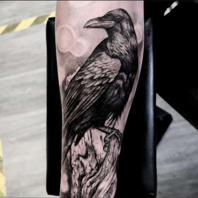 Crow Forearm Black and White Tattoo