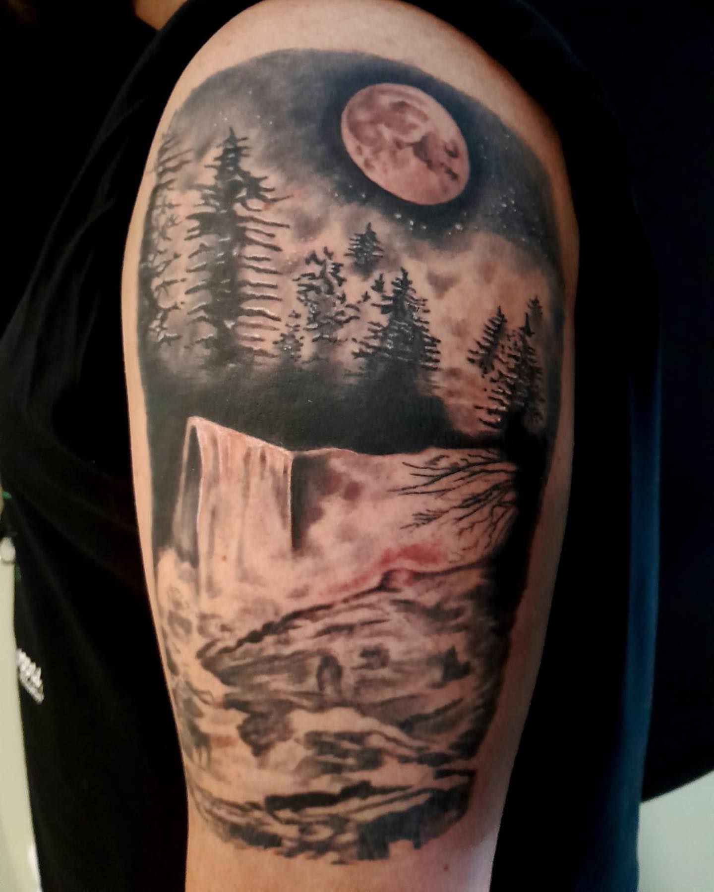 Transforming Arms into Art: Top 68 Tattoo Sleeve Ideas 32 Nature at Night Sleeve Color Tattoo